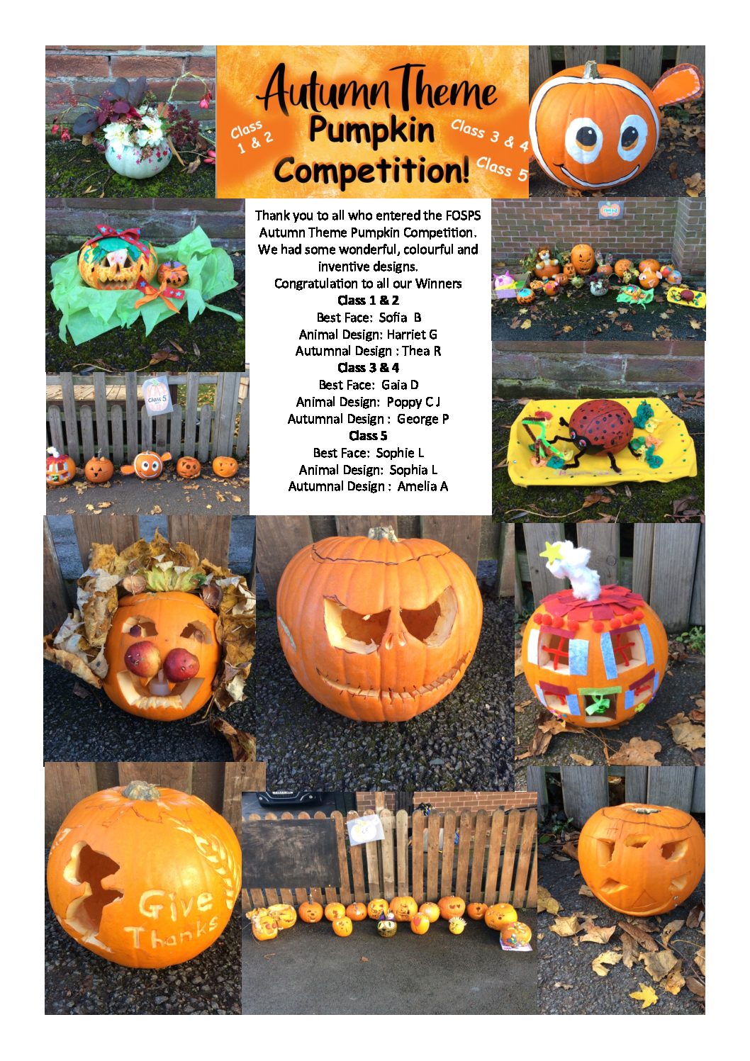 FOSPS Pumpkins Competition Winners