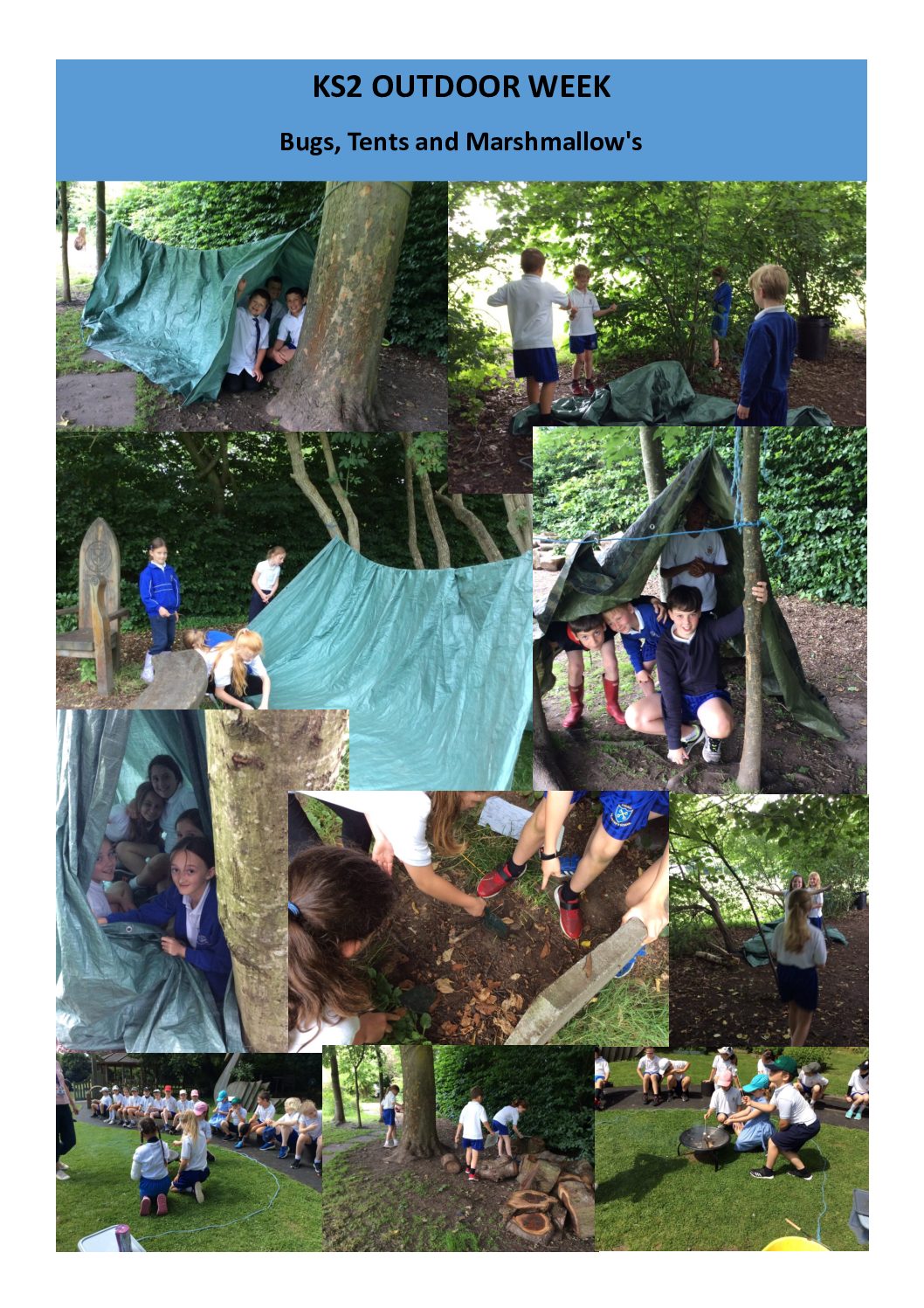 KS2 OUTDOOR WEEK – Bugs, Dens and Marshmallows