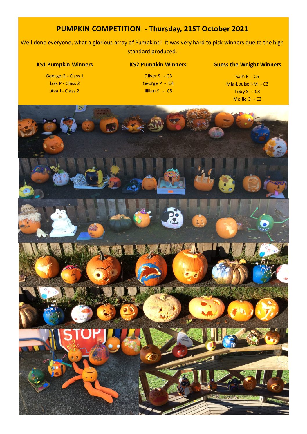 Pumpkin Competition – 21st October 2021